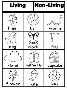 Living and NonLiving