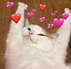 luv
