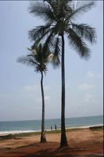 jedna z plaz wokol Freetown