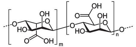 Alginate là gì