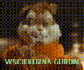 wsciekliznagurom