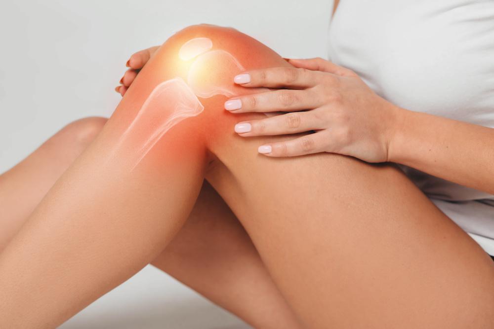 The Role of Cartilage in Your Body: Coastal Empire Orthopedics: Orthopedic  Surgeons