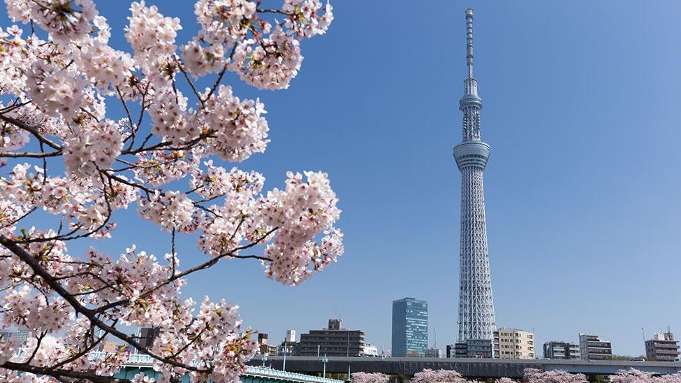 Tokyo Skytree | Tokyo | Japan City Tour