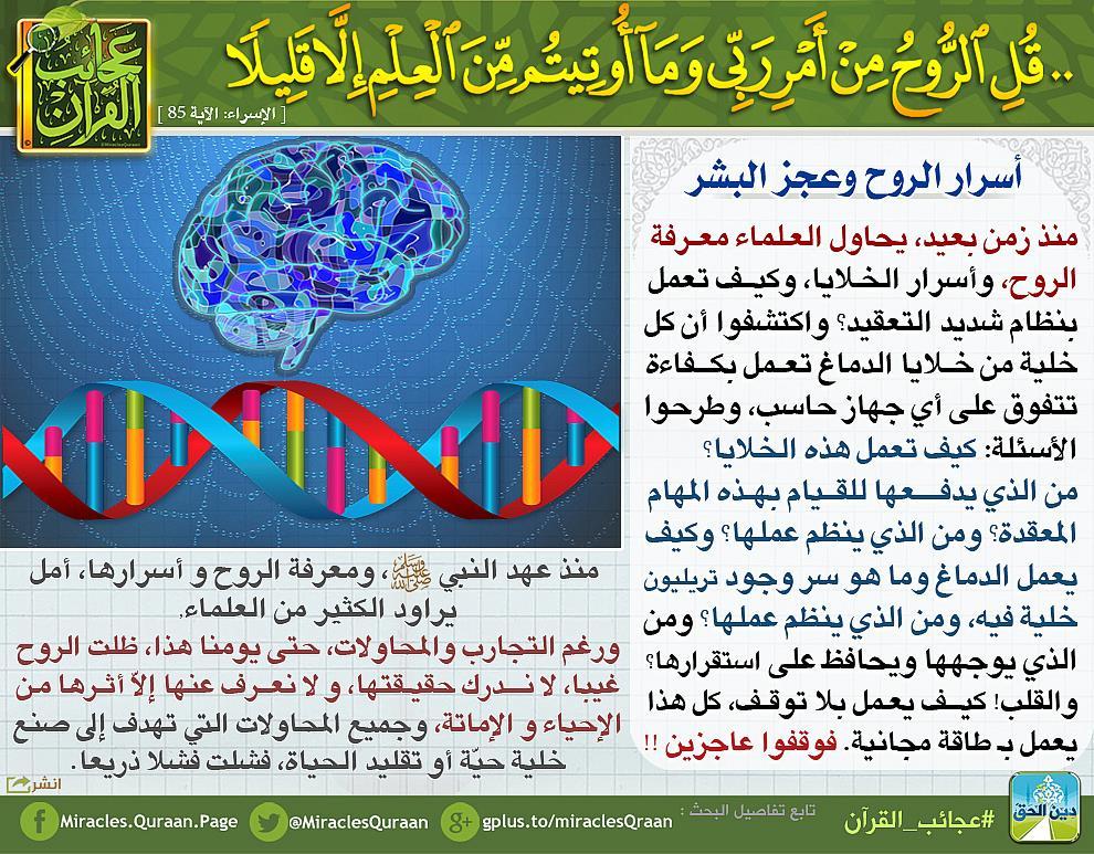 لا يتوفر نص بديل تلقائي.