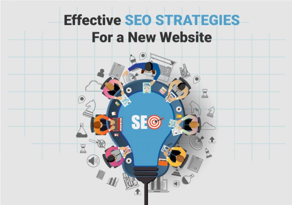 SEO software solutions