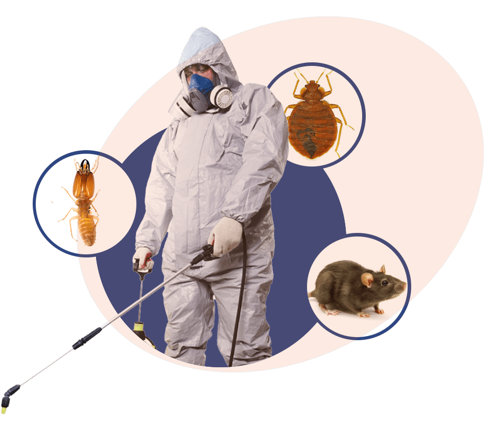 What is Pest Control?