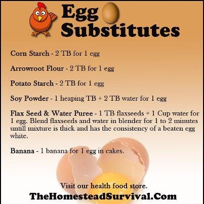 Photo: Egg Substitutes & How To Make Them   http://thehomesteadsurvival.com/egg-substitutes/#.UPeD_2cgOSk