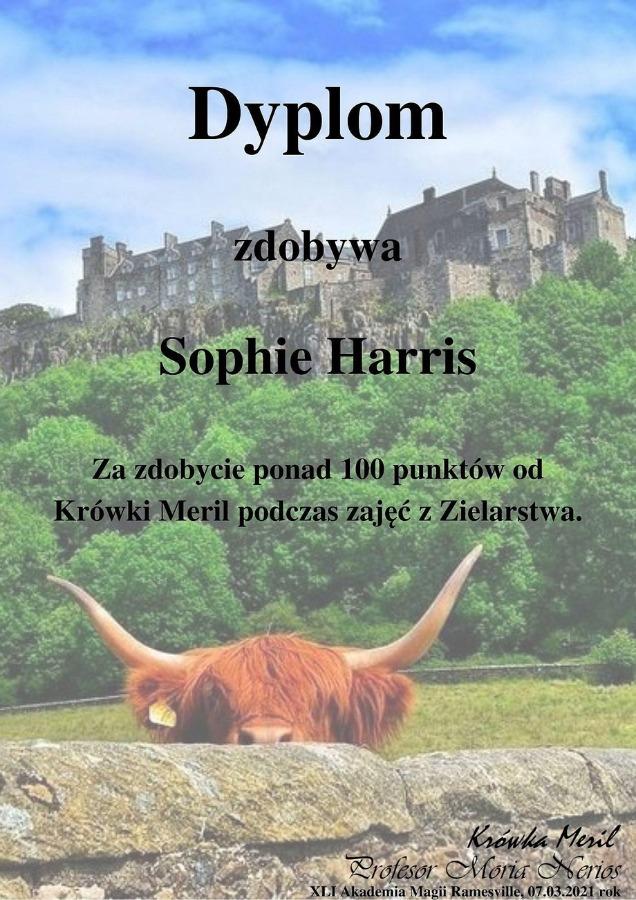 sophie.jpg