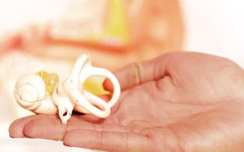 Best Hearing Misfortune Clinics and Ear Specialists in Singapore: Your Definitive Aide for 2024