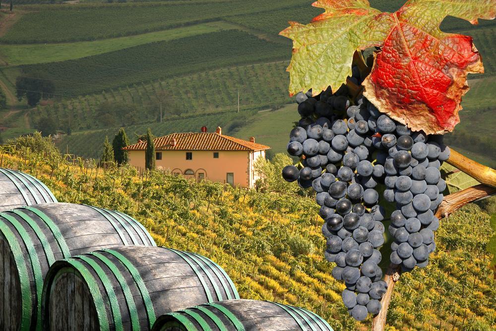 tuscany wine vacations