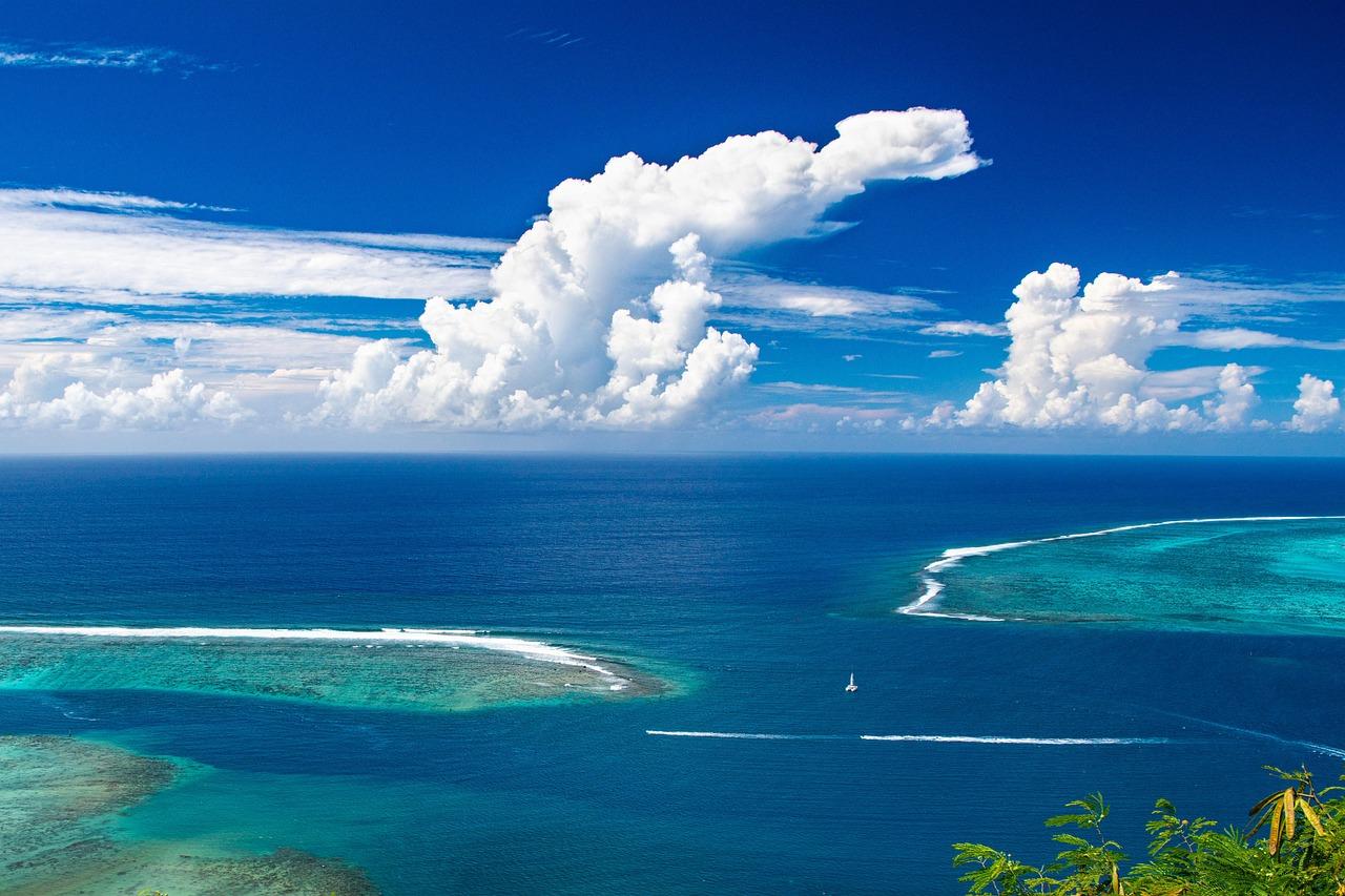 Free Moorea Pacific Ocean photo and picture