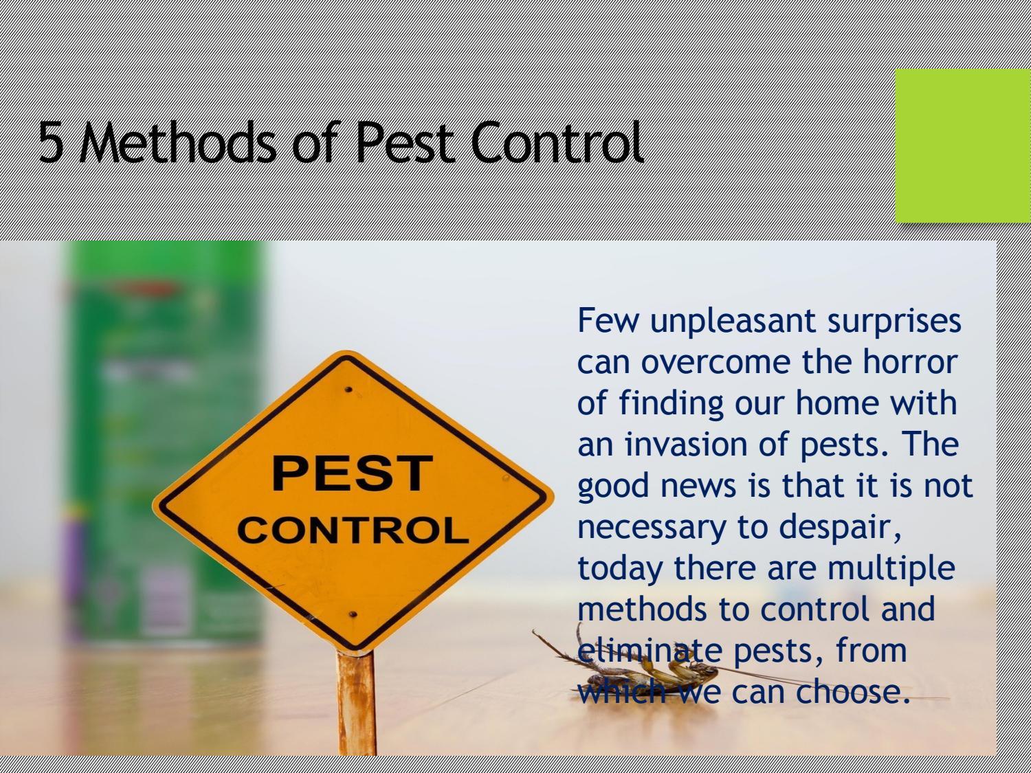 Pest Control Irvine