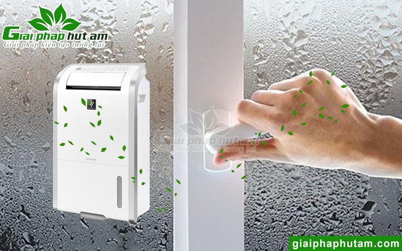 Tác hại độ ẩm cao mang đến cho con người