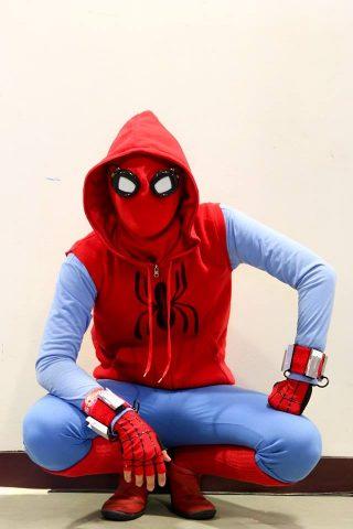 Image result for Spider-man suit