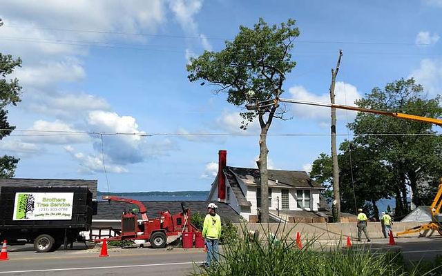 Services | Brothers Tree Service