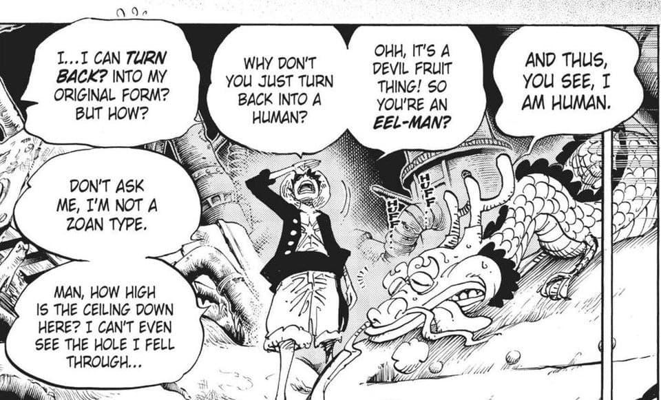 Hint of Luffy being Zoan type Devil Fruit.
