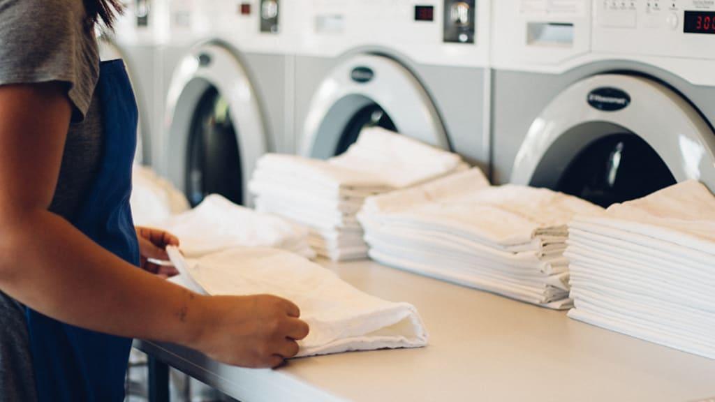 how much does wash and fold laundry service cost