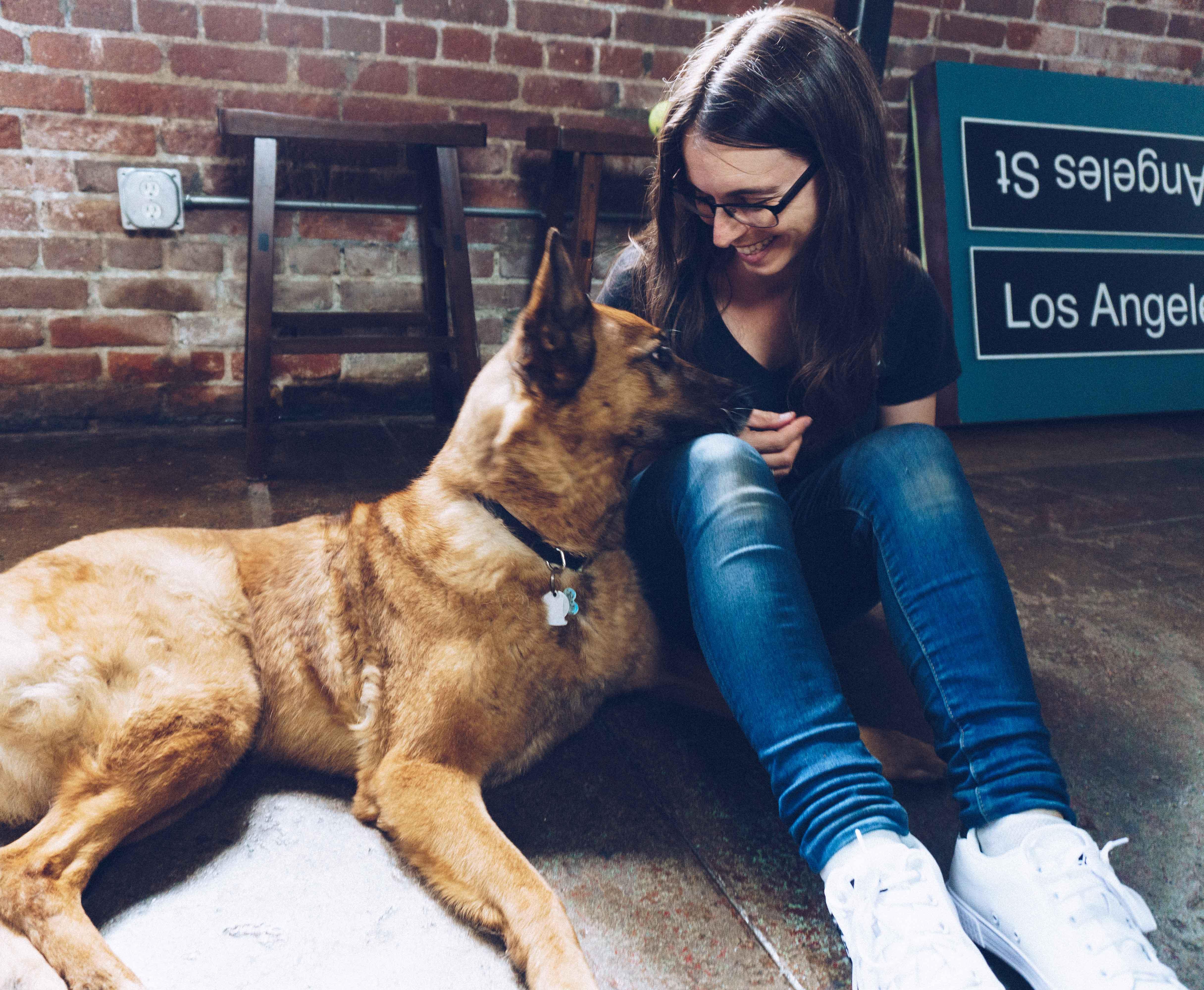 mental stimulation for pets