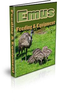 emu feeding