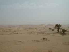 Burza piaskowa na Saharze