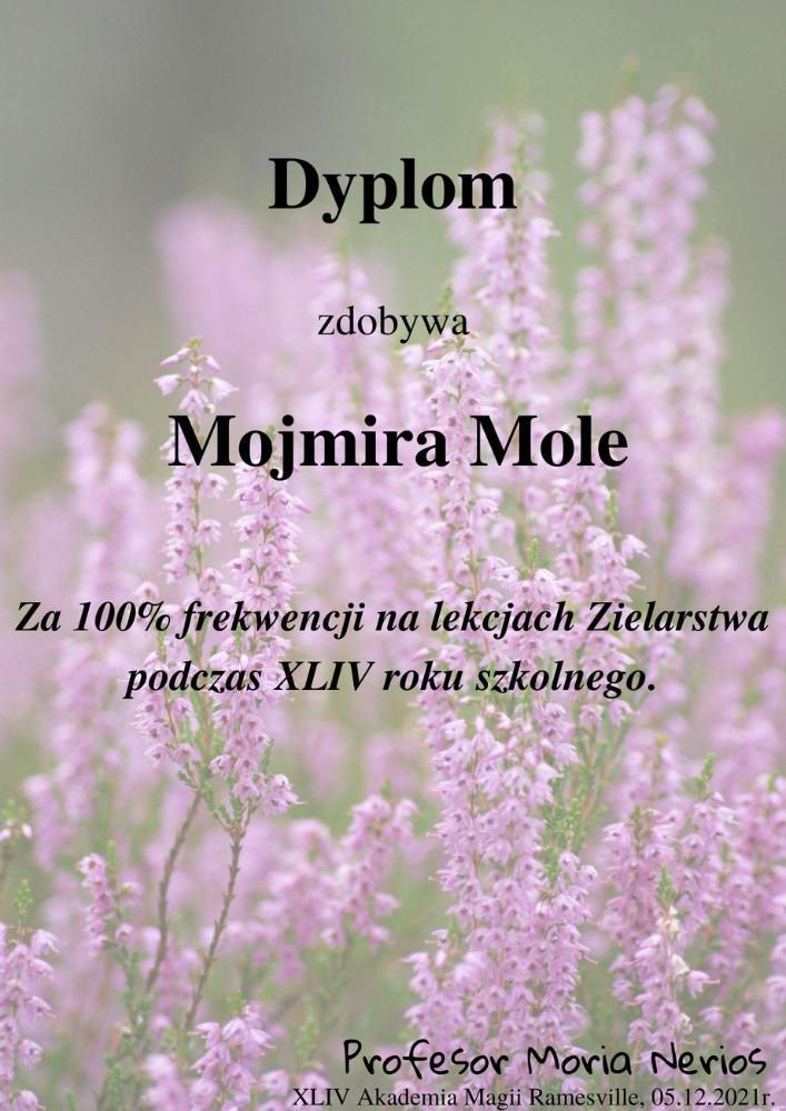 mojmira.jpg