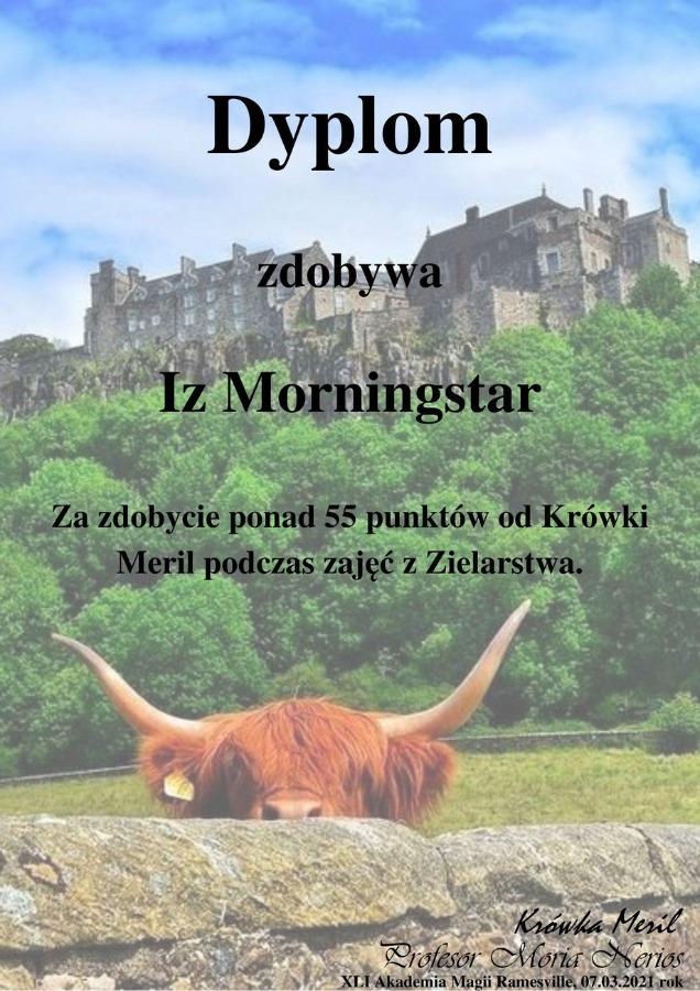 iz.jpg