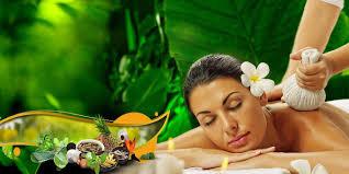 Image result for Ayurvedic therapy image
