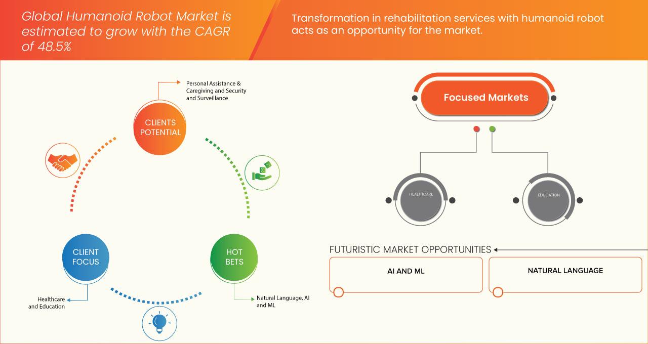 Humanoid Robot Market