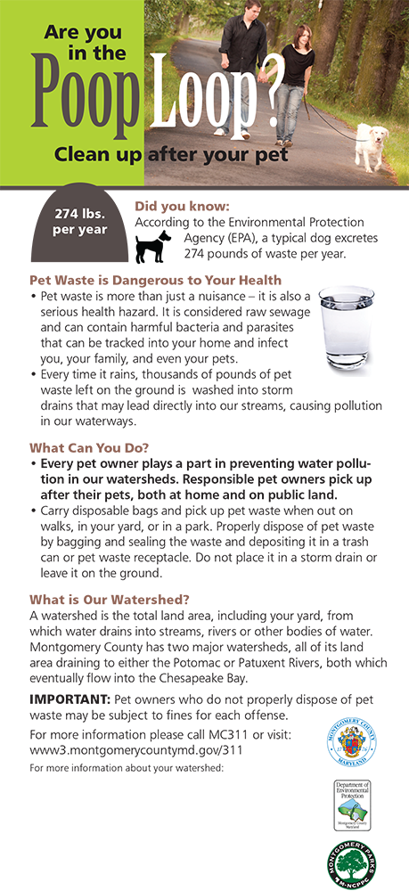 Pet Waste Removal Redmond Wa