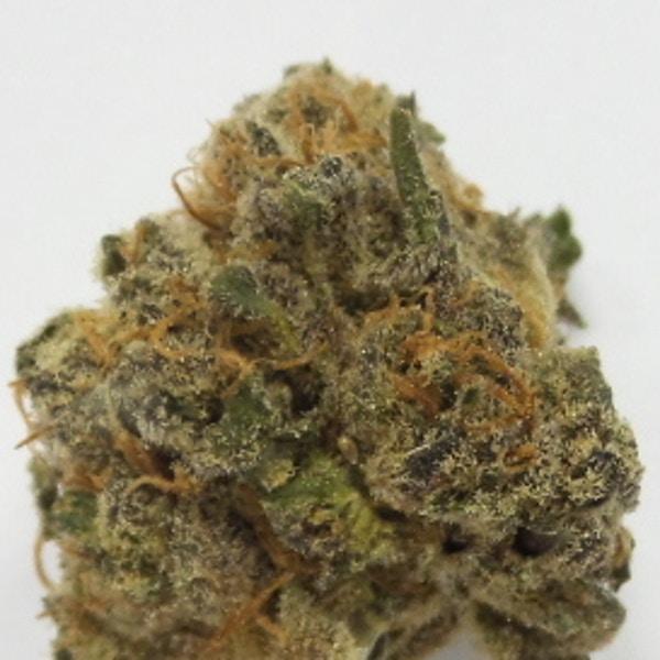 Platinum Gorilla Cookies - Phytologie - Medical Marijuana Menu | Medicinal  Cannabis Pot Weed Directory
