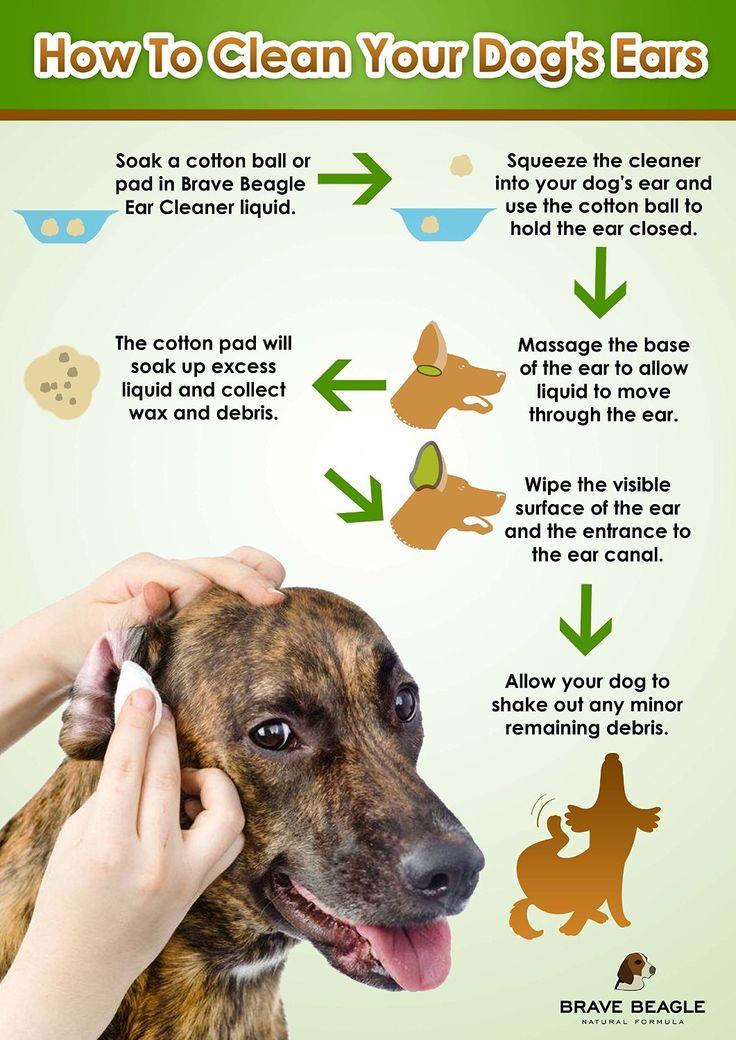 best dog ear cleaner