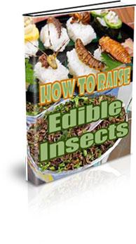 how to raise edible insects