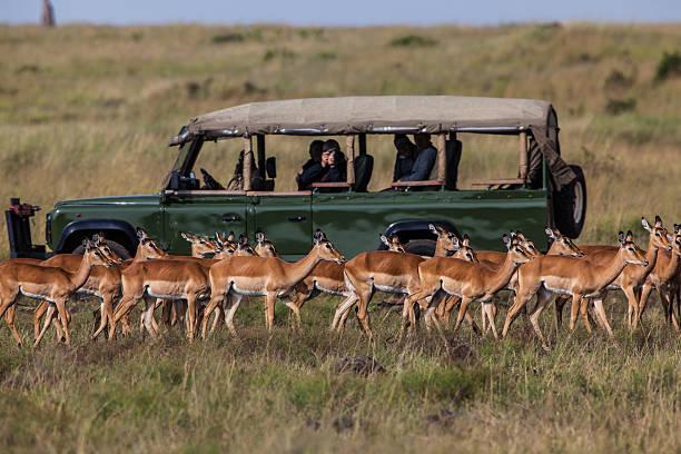 luxury Tanzania safari