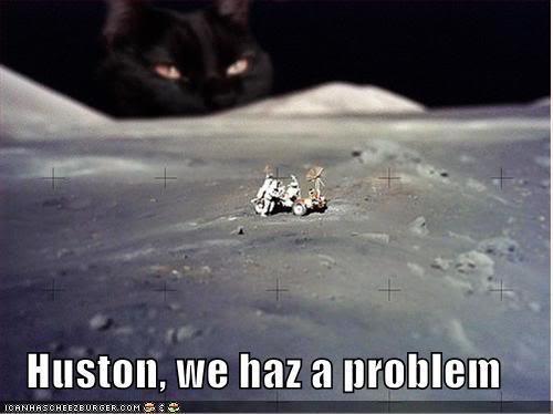 funny-pictures-cat-moon.jpg