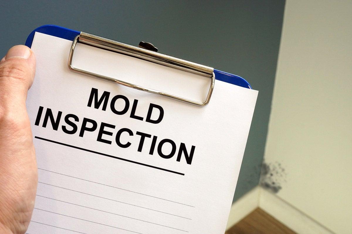 Mold Remediation Company