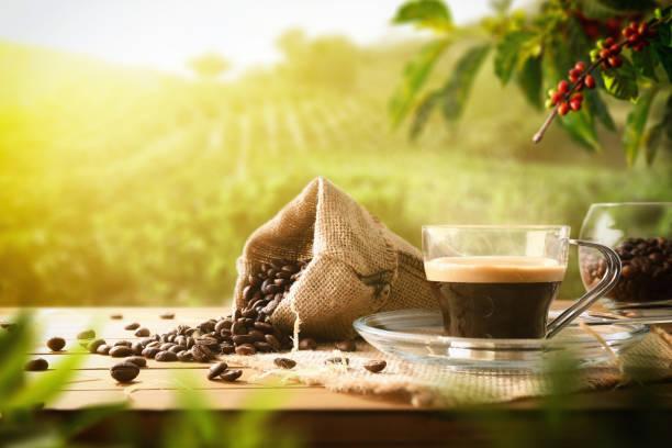 LiveGood coffee reviews