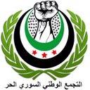 د.محمود السيد الدغيم