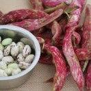 Photo: Eat cranberry beans to fight fat over 40. High in fibre and protein, these sweet beans are delicious in salads, soups or stews.
