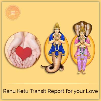 Love Transit Report