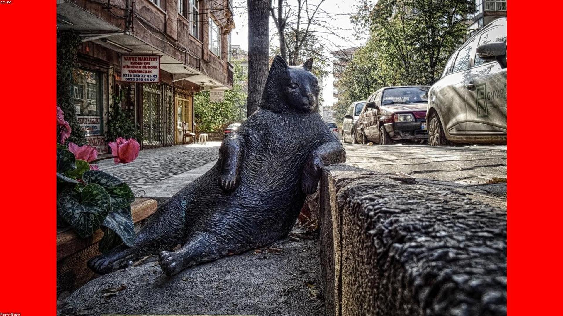 AMarkets O'zbekistonda shaxsiy kabinetga kirish va savdoni boshlash uchun qo'llanma