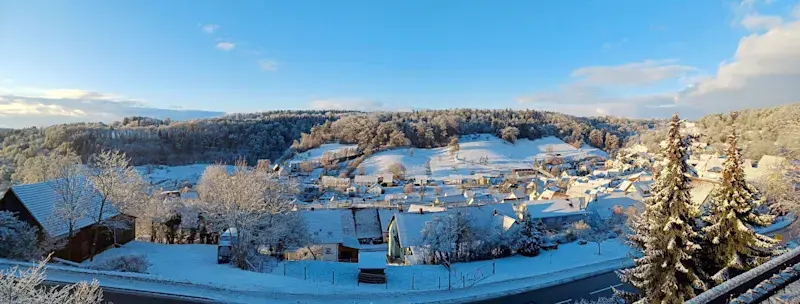 Horb-Rexingen und der noch unbebaute Wald