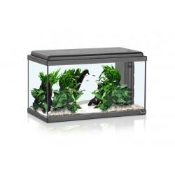 Tienda online mascotas