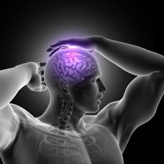 3d render of a male figure holding head with brain highlighted Free Photo