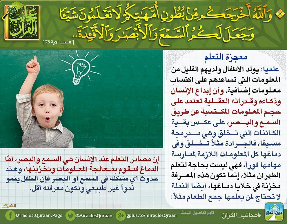 ربما تحتوي الصورة على: ‏‏شخص واحد‏، و‏‏نص‏‏‏