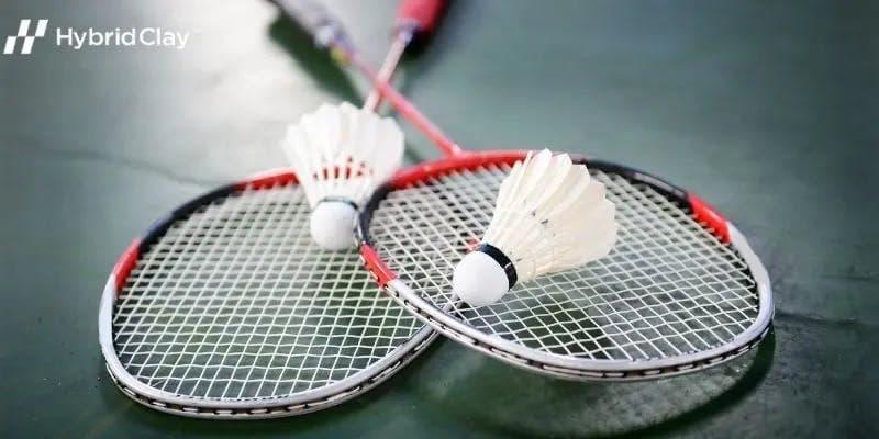 Understanding shared fundamentals between tennis and badminton