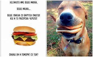 Vlatko Vasilj's photo.