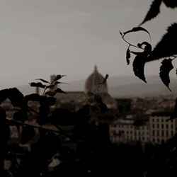 0467b8265a2cbe1eafef21492df960a0.gif