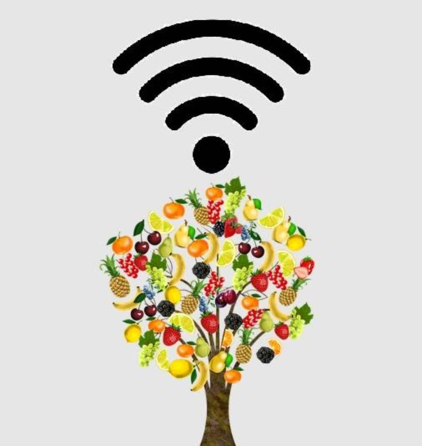 fruit-wifi