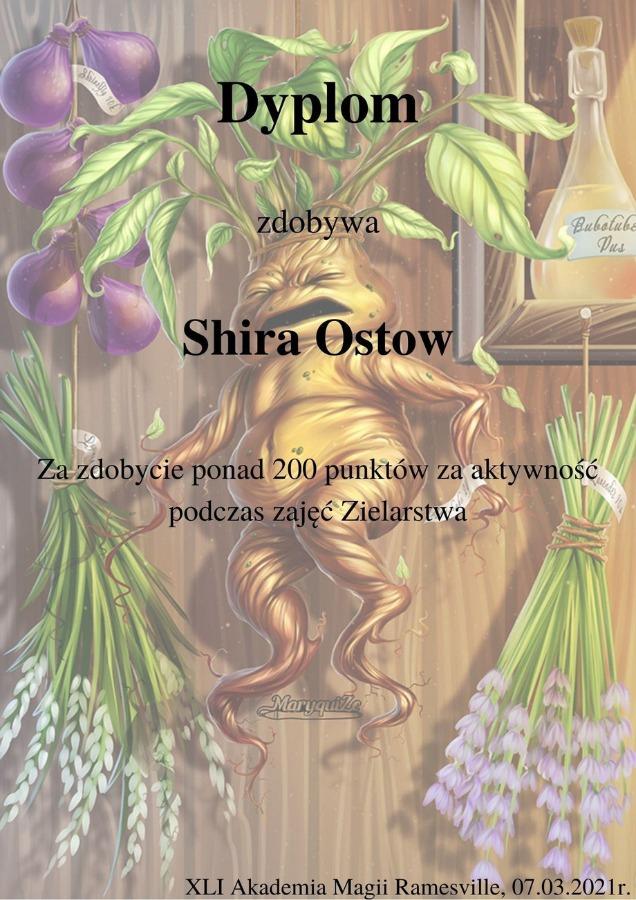 shira.jpg