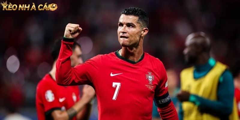 H&agrave;nh tr&igrave;nh v??n t?m th&agrave;nh t&iacute;ch B? ?&agrave;o Nha World Cup